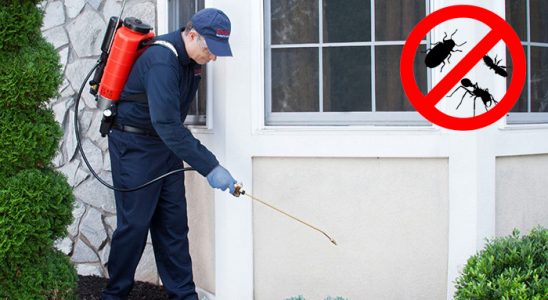 Sinop Hamam Böceği İlaçlama böcek ilaçlama ve haşere kontrolü — ilaclama-tr.com